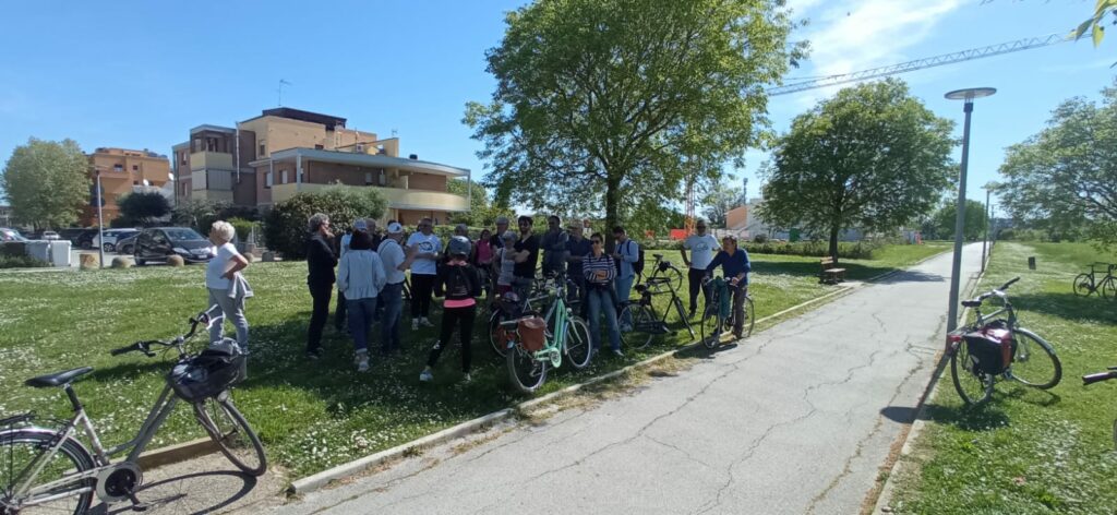 Bici sotto un albero in un parco a nord di Senigallia