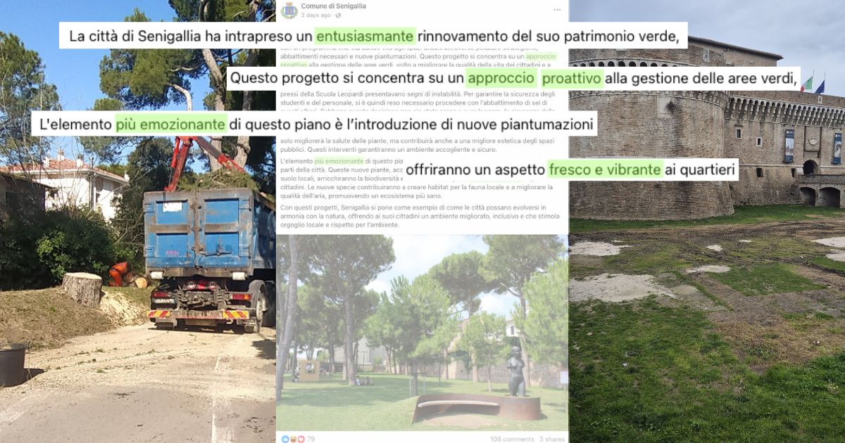 Un rinnovamento del patrimonio verde di Senigallia che inizia (continua) dal taglio di alberi