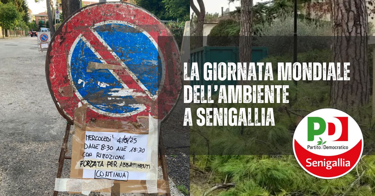 Il cartello di divieto di accesso che annuncia lavori in corso... che in realtà sono lavori per tagliare altri alberi a Senigallia